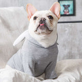 Stylish Spring and Autumn Pet Clothes for Your Beloved Dog - TheOutlet™