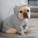 Stylish Spring and Autumn Pet Clothes for Your Beloved Dog - TheOutlet™