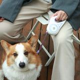 Retractable Dog Leash and Collar Set - TheOutlet™